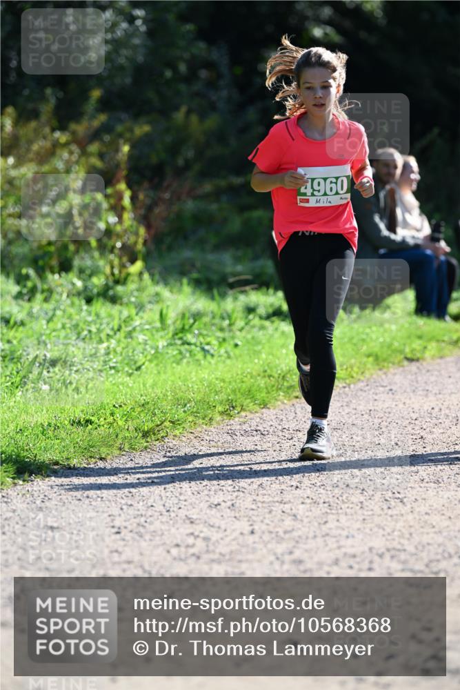 27.09.2026 - 35. Volkslauf durch das schöne Alstertal Dr. Thomas Lammeyer http://msf.ph/oto/10568368 27.09.2026 10:52:19 Laufen 4960 meine-sportfotos.de