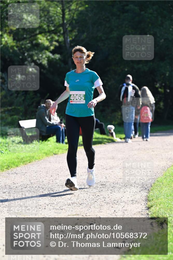 27.09.2026 - 35. Volkslauf durch das schöne Alstertal Dr. Thomas Lammeyer http://msf.ph/oto/10568372 27.09.2026 10:52:20 Laufen 4065 meine-sportfotos.de