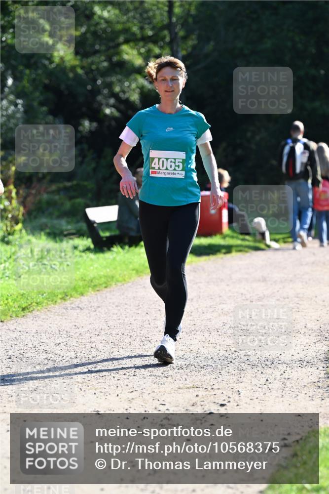 27.09.2026 - 35. Volkslauf durch das schöne Alstertal Dr. Thomas Lammeyer http://msf.ph/oto/10568375 27.09.2026 10:52:21 Laufen 4065 meine-sportfotos.de
