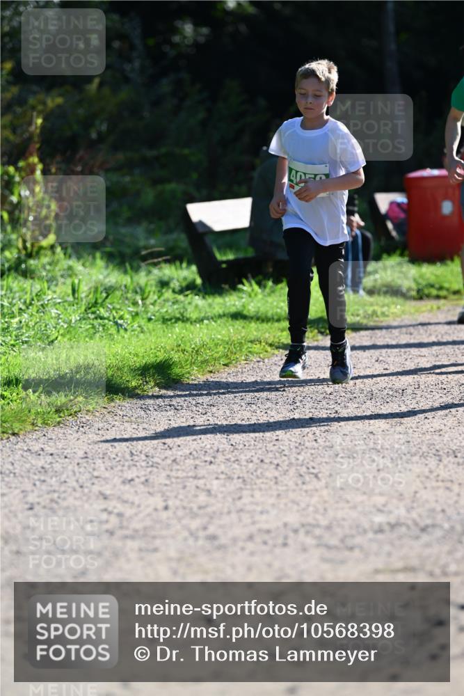 27.09.2026 - 35. Volkslauf durch das schöne Alstertal Dr. Thomas Lammeyer http://msf.ph/oto/10568398 27.09.2026 10:52:37 Laufen  meine-sportfotos.de