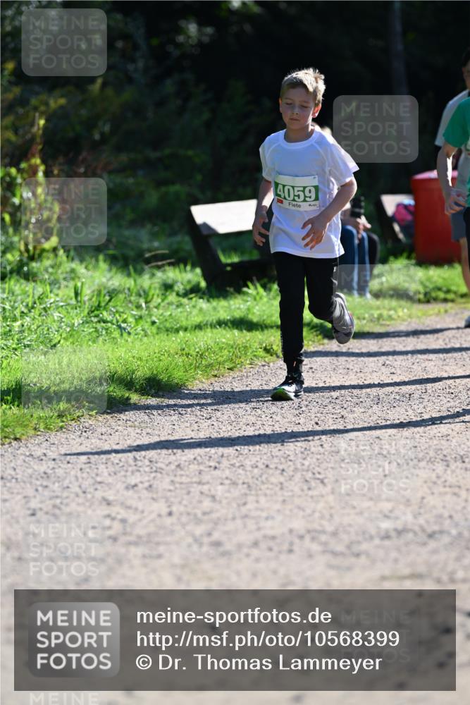 27.09.2026 - 35. Volkslauf durch das schöne Alstertal Dr. Thomas Lammeyer http://msf.ph/oto/10568399 27.09.2026 10:52:37 Laufen 4059 meine-sportfotos.de