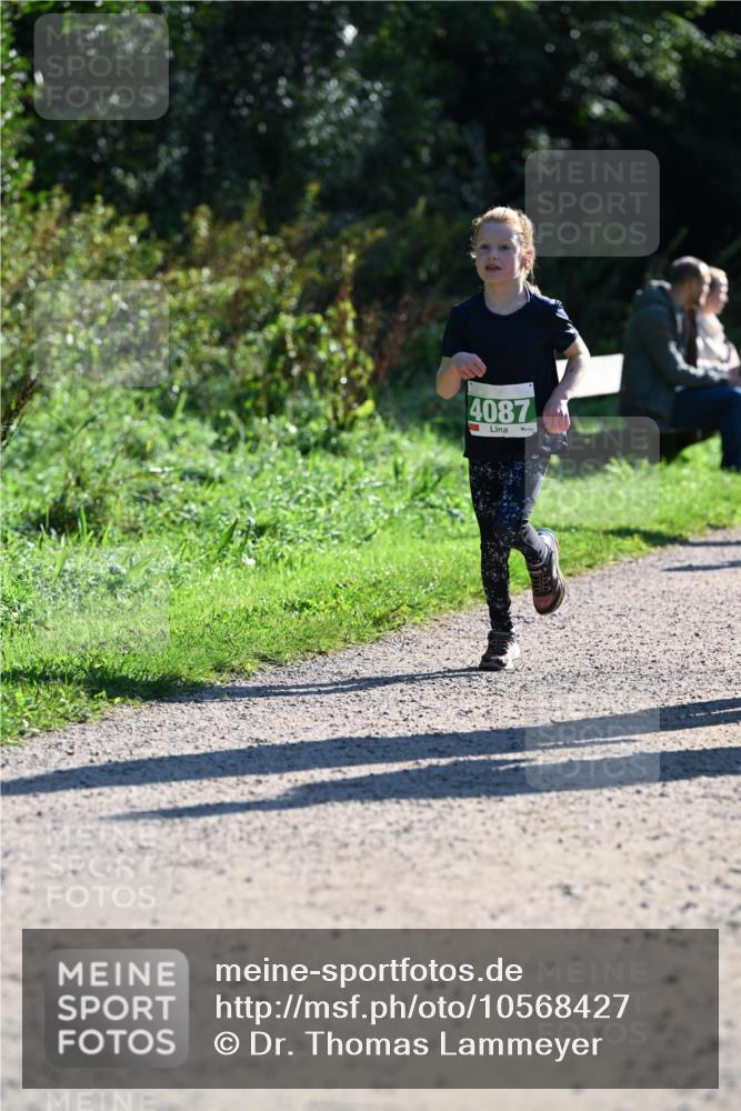 27.09.2026 - 35. Volkslauf durch das schöne Alstertal Dr. Thomas Lammeyer http://msf.ph/oto/10568427 27.09.2026 10:52:46 Laufen 4087 meine-sportfotos.de