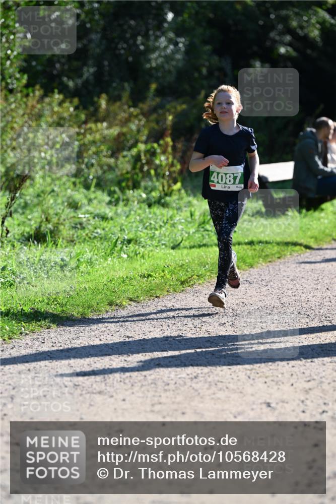 27.09.2026 - 35. Volkslauf durch das schöne Alstertal Dr. Thomas Lammeyer http://msf.ph/oto/10568428 27.09.2026 10:52:46 Laufen 4087 meine-sportfotos.de