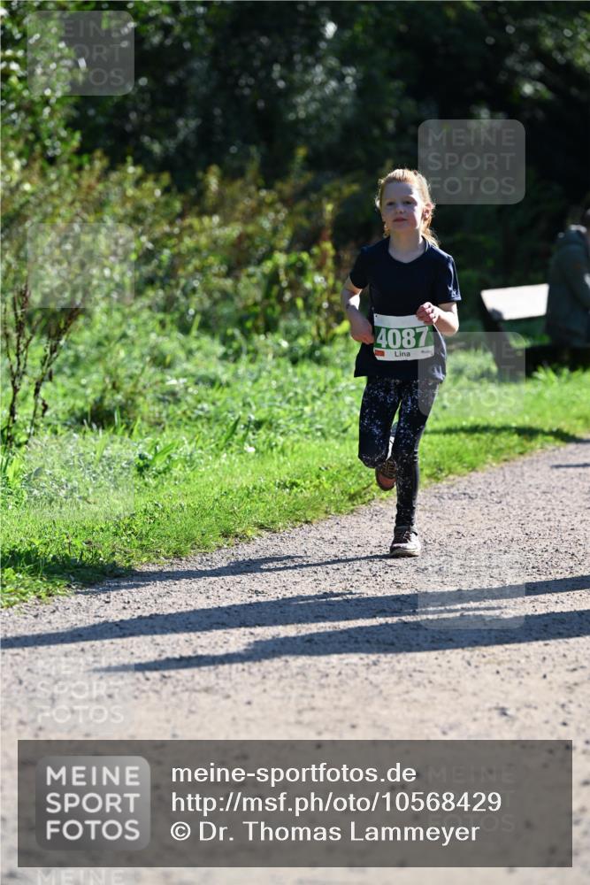 27.09.2026 - 35. Volkslauf durch das schöne Alstertal Dr. Thomas Lammeyer http://msf.ph/oto/10568429 27.09.2026 10:52:46 Laufen 4087 meine-sportfotos.de