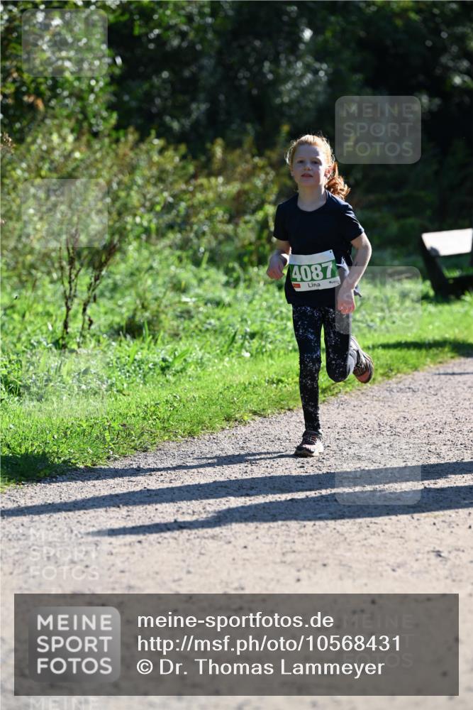 27.09.2026 - 35. Volkslauf durch das schöne Alstertal Dr. Thomas Lammeyer http://msf.ph/oto/10568431 27.09.2026 10:52:46 Laufen 4087 meine-sportfotos.de