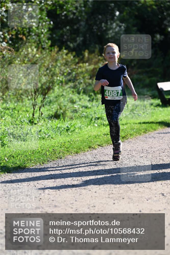 27.09.2026 - 35. Volkslauf durch das schöne Alstertal Dr. Thomas Lammeyer http://msf.ph/oto/10568432 27.09.2026 10:52:46 Laufen 4087 meine-sportfotos.de