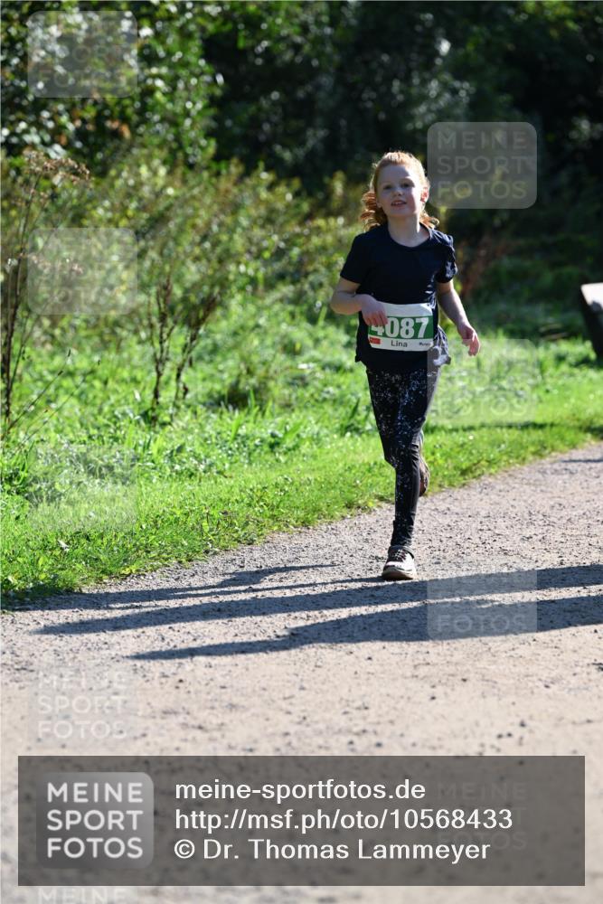 27.09.2026 - 35. Volkslauf durch das schöne Alstertal Dr. Thomas Lammeyer http://msf.ph/oto/10568433 27.09.2026 10:52:47 Laufen 087 meine-sportfotos.de