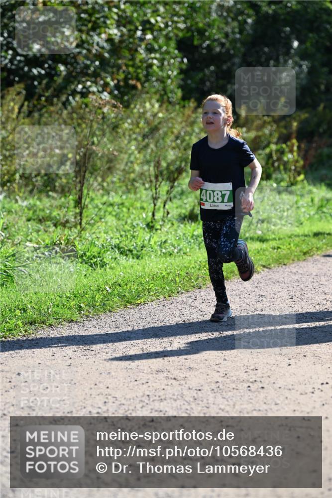 27.09.2026 - 35. Volkslauf durch das schöne Alstertal Dr. Thomas Lammeyer http://msf.ph/oto/10568436 27.09.2026 10:52:47 Laufen 4087 meine-sportfotos.de