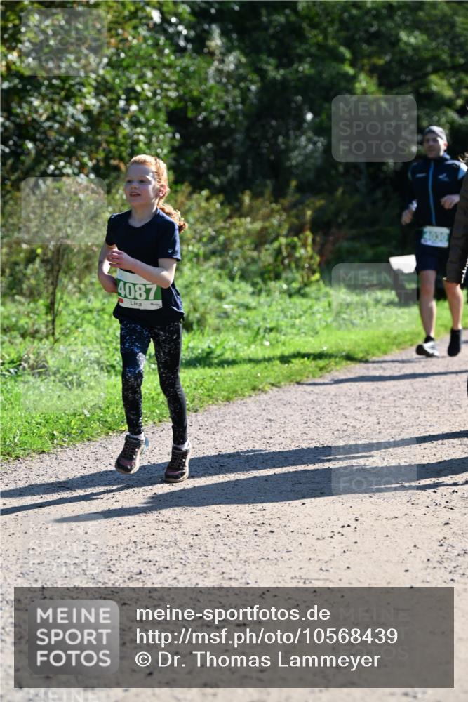 27.09.2026 - 35. Volkslauf durch das schöne Alstertal Dr. Thomas Lammeyer http://msf.ph/oto/10568439 27.09.2026 10:52:47 Laufen 4087 meine-sportfotos.de