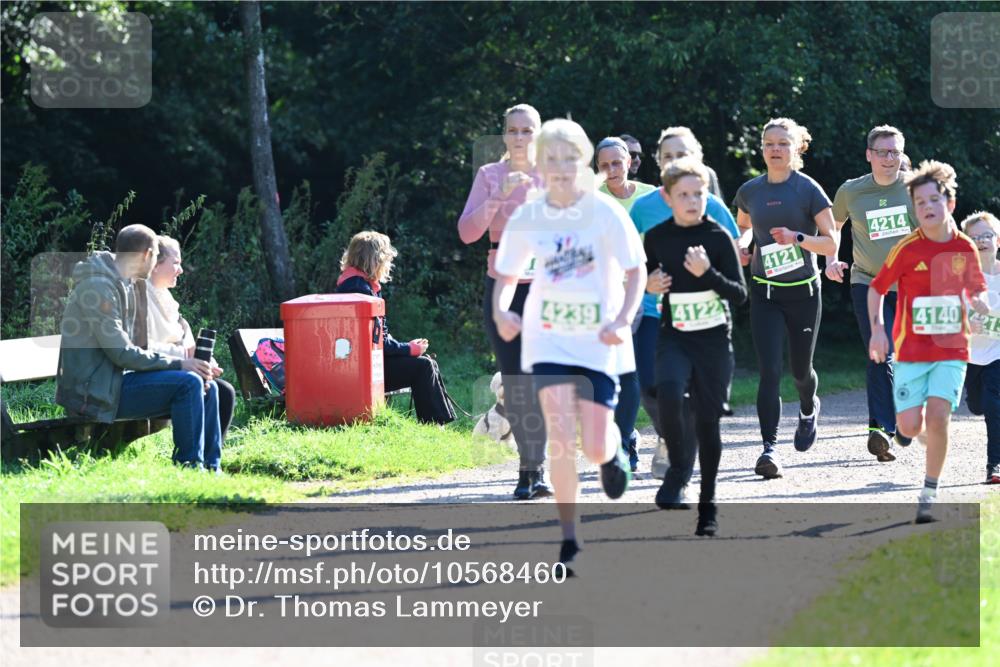 27.09.2026 - 35. Volkslauf durch das schöne Alstertal Dr. Thomas Lammeyer http://msf.ph/oto/10568460 27.09.2026 10:53:07 Laufen 4239, 4122, 4121, 4214, 4140, 213 meine-sportfotos.de