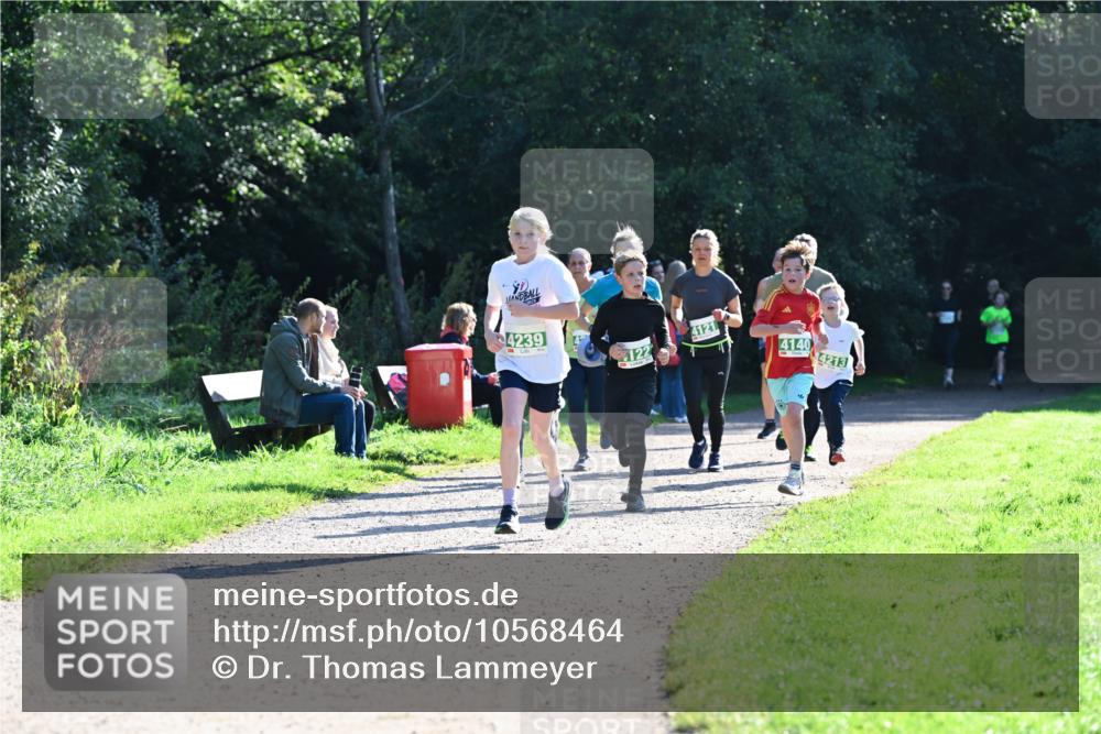 27.09.2026 - 35. Volkslauf durch das schöne Alstertal Dr. Thomas Lammeyer http://msf.ph/oto/10568464 27.09.2026 10:53:08 Laufen 4239, 4121, 122, 4140, 4213 meine-sportfotos.de