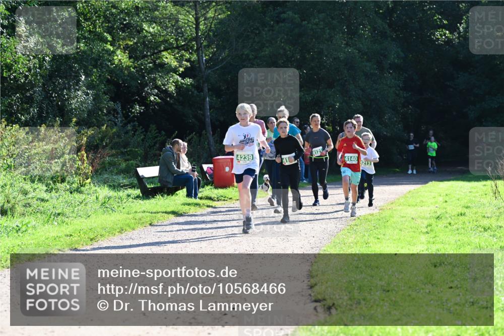 27.09.2026 - 35. Volkslauf durch das schöne Alstertal Dr. Thomas Lammeyer http://msf.ph/oto/10568466 27.09.2026 10:53:08 Laufen 4239, 4121, 4140, 4213 meine-sportfotos.de