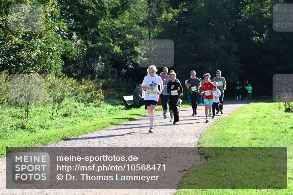 27.09.2026 - 35. Volkslauf durch das schöne Alstertal Dr. Thomas Lammeyer http://msf.ph/oto/10568471 27.09.2026 10:53:09 Laufen 4239, 1214, 4121, 4122, 4140 meine-sportfotos.de