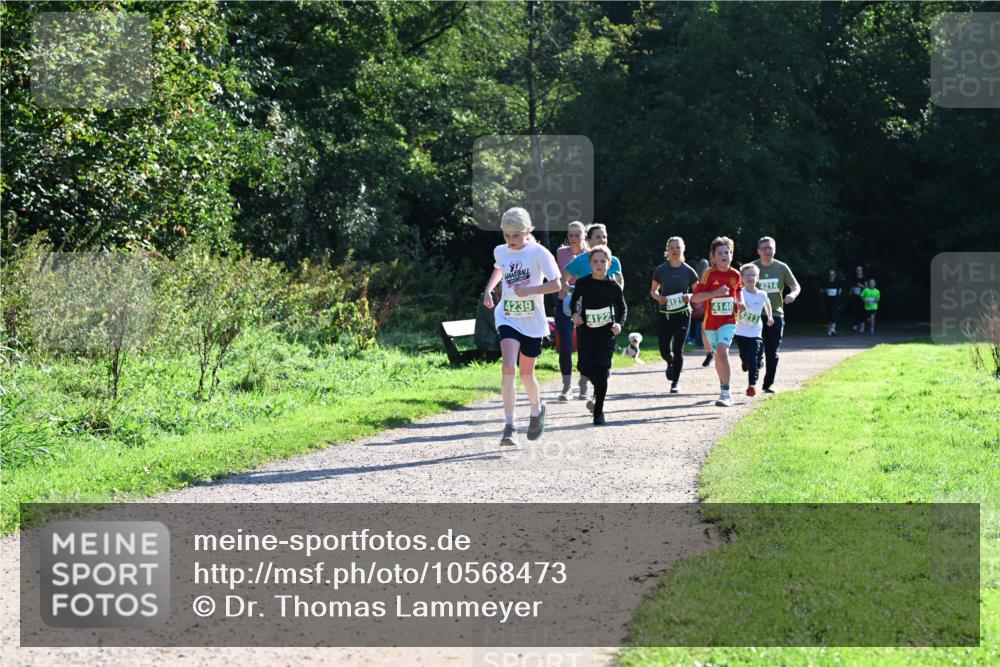27.09.2026 - 35. Volkslauf durch das schöne Alstertal Dr. Thomas Lammeyer http://msf.ph/oto/10568473 27.09.2026 10:53:09 Laufen 4239, 4121, 4122, 4140, 4213, 4214 meine-sportfotos.de