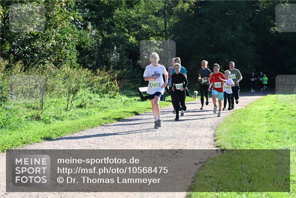 27.09.2026 - 35. Volkslauf durch das schöne Alstertal Dr. Thomas Lammeyer http://msf.ph/oto/10568475 27.09.2026 10:53:09 Laufen 4239, 4122, 4140, 4213, 4214 meine-sportfotos.de