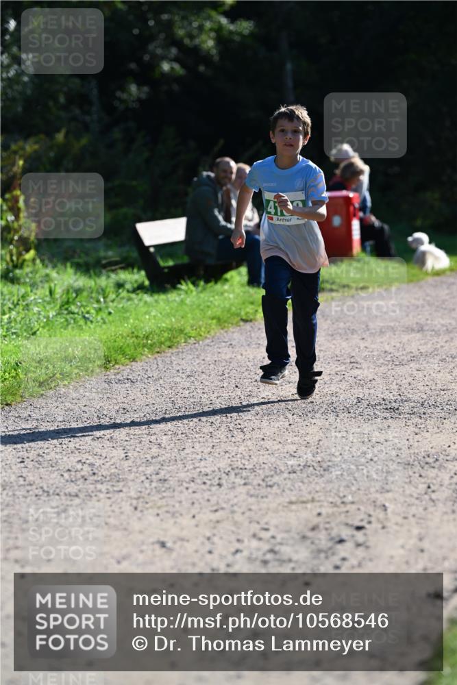 27.09.2026 - 35. Volkslauf durch das schöne Alstertal Dr. Thomas Lammeyer http://msf.ph/oto/10568546 27.09.2026 10:53:37 Laufen 41 meine-sportfotos.de