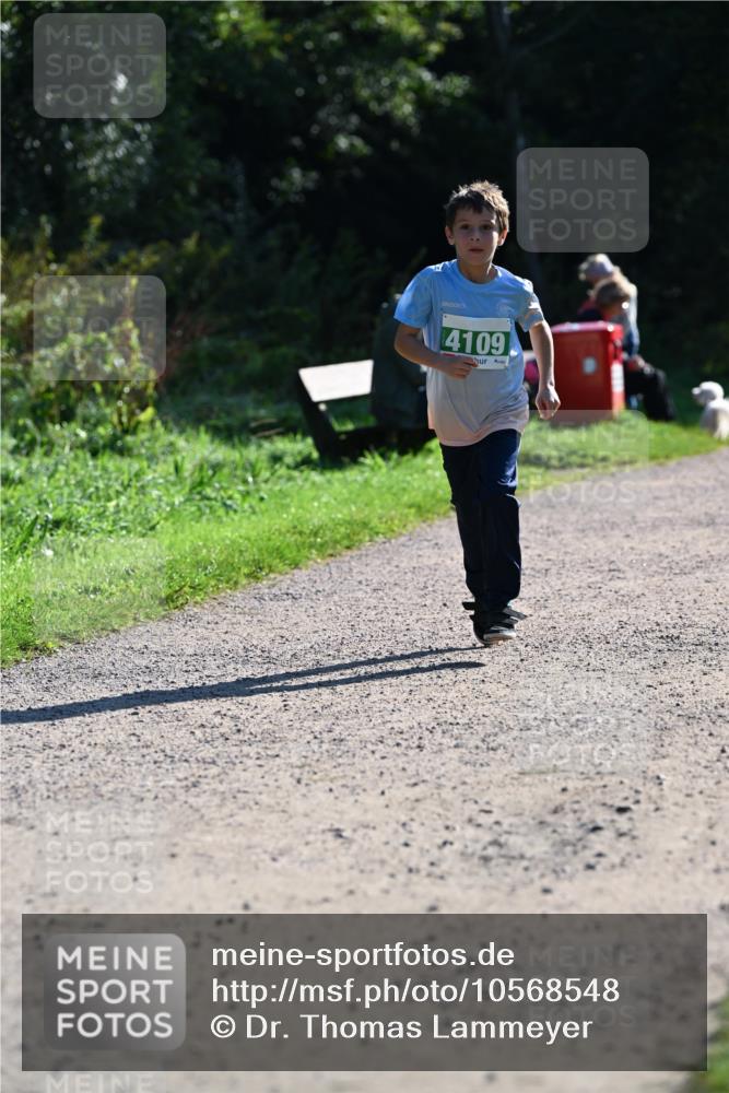 27.09.2026 - 35. Volkslauf durch das schöne Alstertal Dr. Thomas Lammeyer http://msf.ph/oto/10568548 27.09.2026 10:53:37 Laufen 4109 meine-sportfotos.de