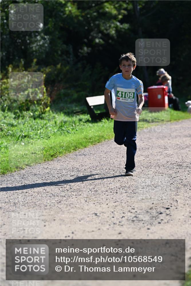 27.09.2026 - 35. Volkslauf durch das schöne Alstertal Dr. Thomas Lammeyer http://msf.ph/oto/10568549 27.09.2026 10:53:37 Laufen 4109 meine-sportfotos.de