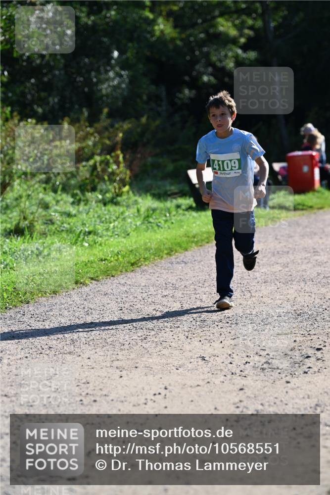 27.09.2026 - 35. Volkslauf durch das schöne Alstertal Dr. Thomas Lammeyer http://msf.ph/oto/10568551 27.09.2026 10:53:37 Laufen 4109 meine-sportfotos.de