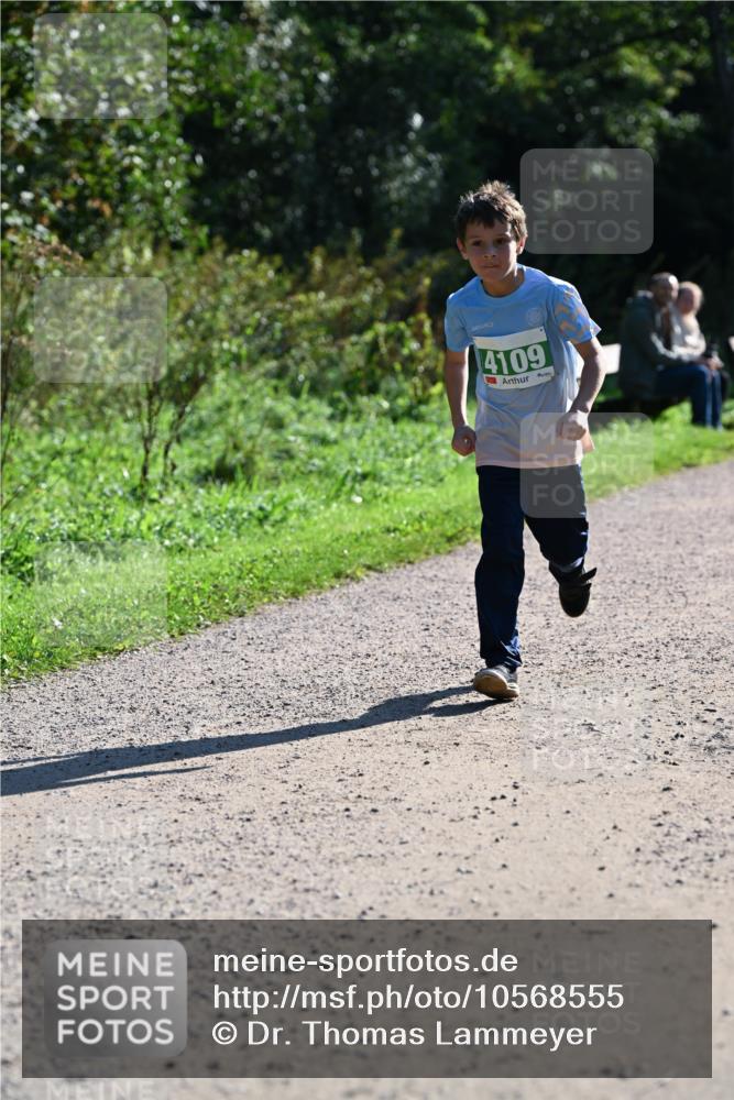 27.09.2026 - 35. Volkslauf durch das schöne Alstertal Dr. Thomas Lammeyer http://msf.ph/oto/10568555 27.09.2026 10:53:38 Laufen 4109 meine-sportfotos.de