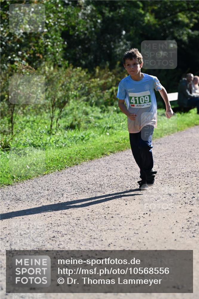 27.09.2026 - 35. Volkslauf durch das schöne Alstertal Dr. Thomas Lammeyer http://msf.ph/oto/10568556 27.09.2026 10:53:38 Laufen 4109 meine-sportfotos.de