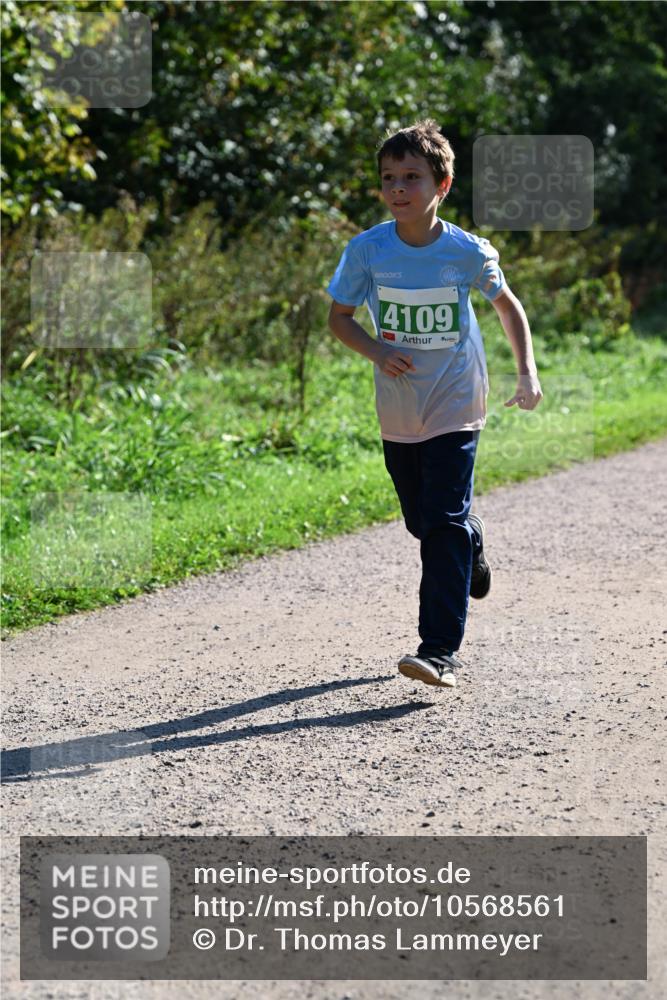 27.09.2026 - 35. Volkslauf durch das schöne Alstertal Dr. Thomas Lammeyer http://msf.ph/oto/10568561 27.09.2026 10:53:39 Laufen 4109 meine-sportfotos.de