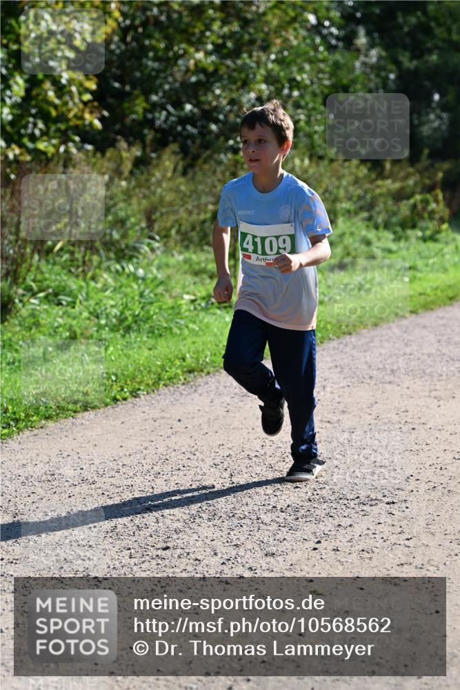 27.09.2026 - 35. Volkslauf durch das schöne Alstertal Dr. Thomas Lammeyer http://msf.ph/oto/10568562 27.09.2026 10:53:39 Laufen 4109 meine-sportfotos.de