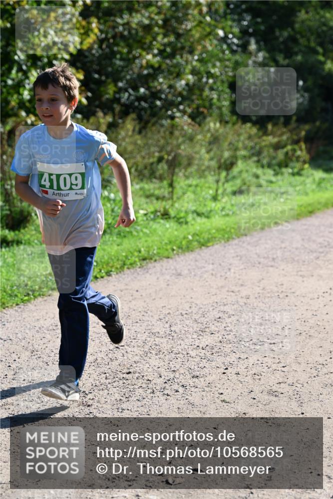 27.09.2026 - 35. Volkslauf durch das schöne Alstertal Dr. Thomas Lammeyer http://msf.ph/oto/10568565 27.09.2026 10:53:39 Laufen 4109 meine-sportfotos.de
