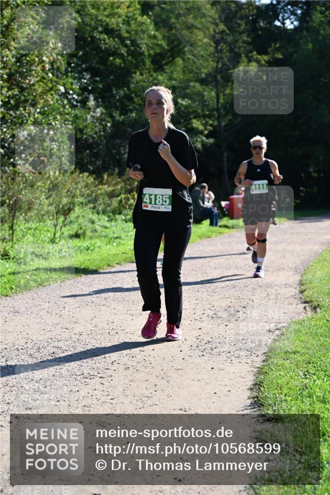 27.09.2026 - 35. Volkslauf durch das schöne Alstertal Dr. Thomas Lammeyer http://msf.ph/oto/10568599 27.09.2026 10:53:53 Laufen 4185, 4111 meine-sportfotos.de