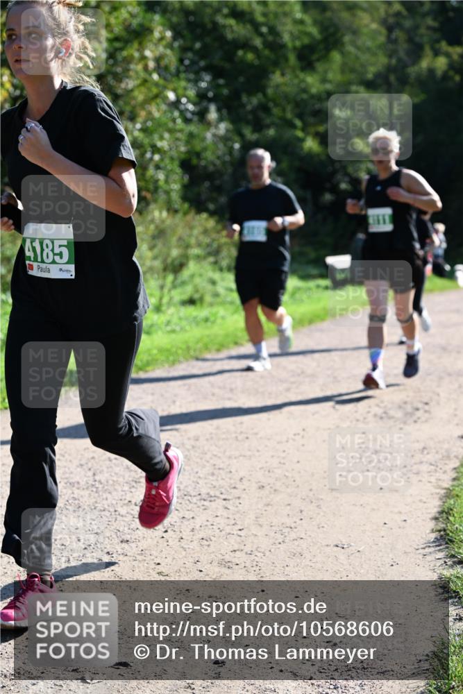 27.09.2026 - 35. Volkslauf durch das schöne Alstertal Dr. Thomas Lammeyer http://msf.ph/oto/10568606 27.09.2026 10:53:54 Laufen 4185 meine-sportfotos.de