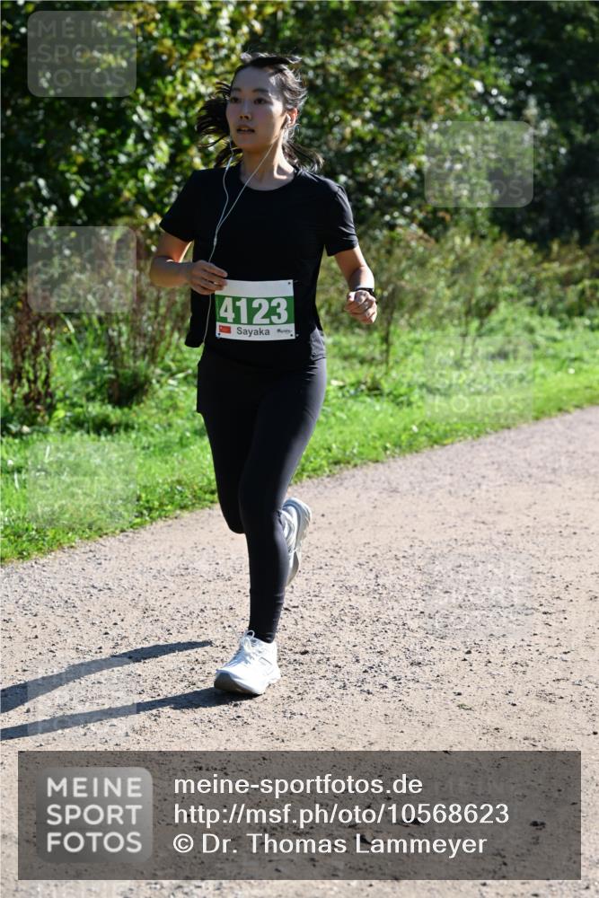27.09.2026 - 35. Volkslauf durch das schöne Alstertal Dr. Thomas Lammeyer http://msf.ph/oto/10568623 27.09.2026 10:53:57 Laufen 4123 meine-sportfotos.de
