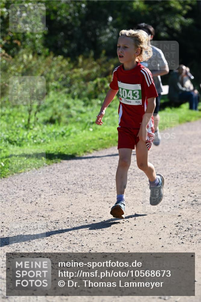27.09.2026 - 35. Volkslauf durch das schöne Alstertal Dr. Thomas Lammeyer http://msf.ph/oto/10568673 27.09.2026 10:54:14 Laufen 4043 meine-sportfotos.de