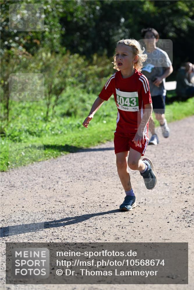 27.09.2026 - 35. Volkslauf durch das schöne Alstertal Dr. Thomas Lammeyer http://msf.ph/oto/10568674 27.09.2026 10:54:15 Laufen 4043 meine-sportfotos.de
