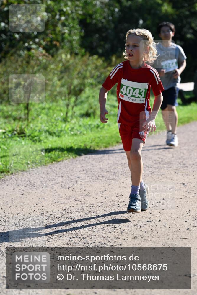 27.09.2026 - 35. Volkslauf durch das schöne Alstertal Dr. Thomas Lammeyer http://msf.ph/oto/10568675 27.09.2026 10:54:15 Laufen 4043 meine-sportfotos.de