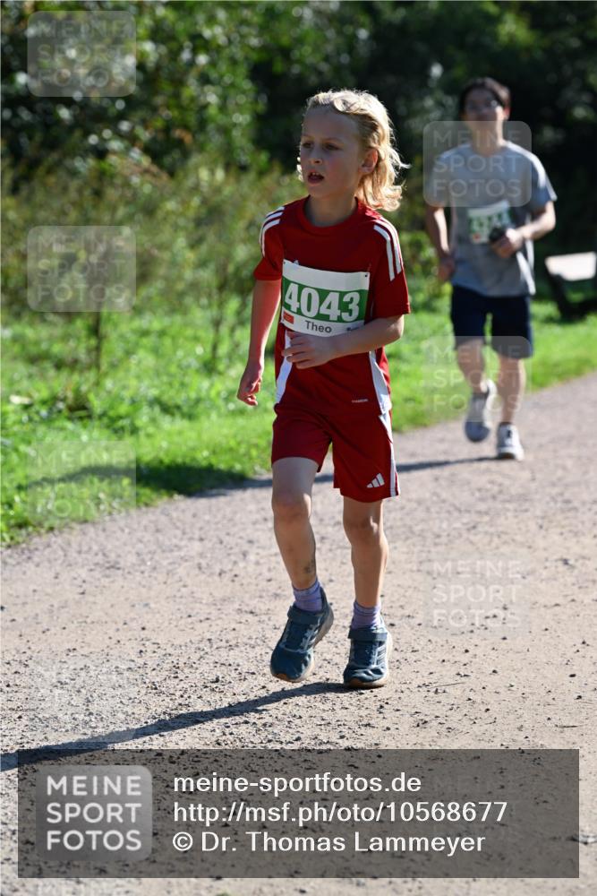 27.09.2026 - 35. Volkslauf durch das schöne Alstertal Dr. Thomas Lammeyer http://msf.ph/oto/10568677 27.09.2026 10:54:15 Laufen 4043 meine-sportfotos.de