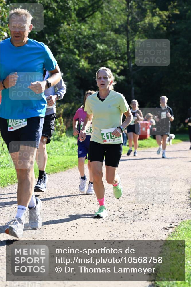 27.09.2026 - 35. Volkslauf durch das schöne Alstertal Dr. Thomas Lammeyer http://msf.ph/oto/10568758 27.09.2026 10:54:35 Laufen 4153 meine-sportfotos.de