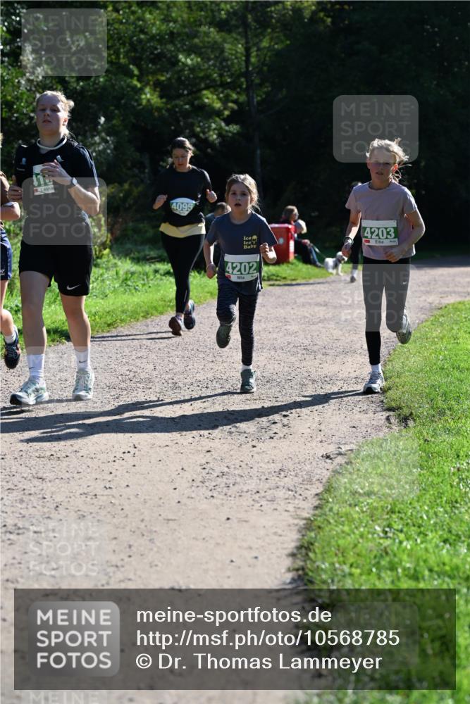 27.09.2026 - 35. Volkslauf durch das schöne Alstertal Dr. Thomas Lammeyer http://msf.ph/oto/10568785 27.09.2026 10:54:40 Laufen 110, 4095, 4203, 4202 meine-sportfotos.de