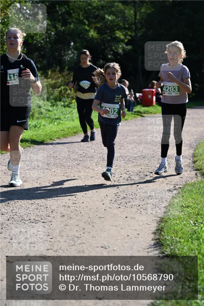 27.09.2026 - 35. Volkslauf durch das schöne Alstertal Dr. Thomas Lammeyer http://msf.ph/oto/10568790 27.09.2026 10:54:40 Laufen 116, 4095, 4203, 02 meine-sportfotos.de