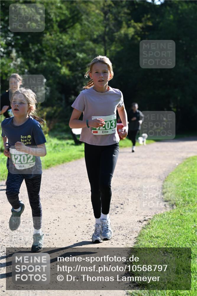 27.09.2026 - 35. Volkslauf durch das schöne Alstertal Dr. Thomas Lammeyer http://msf.ph/oto/10568797 27.09.2026 10:54:41 Laufen 203, 4202 meine-sportfotos.de