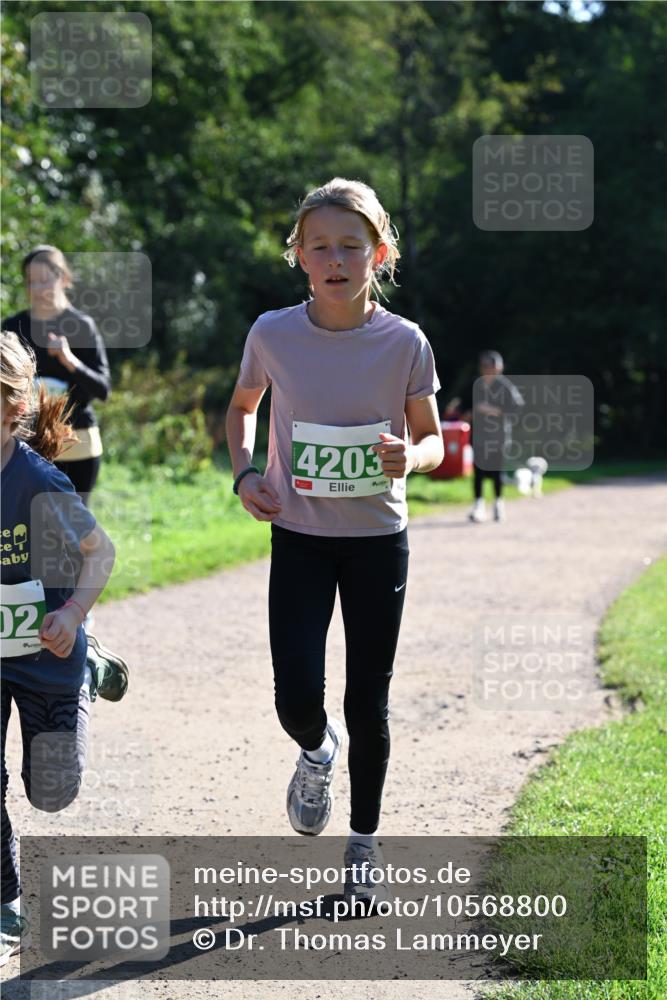 27.09.2026 - 35. Volkslauf durch das schöne Alstertal Dr. Thomas Lammeyer http://msf.ph/oto/10568800 27.09.2026 10:54:41 Laufen 02, 4203 meine-sportfotos.de