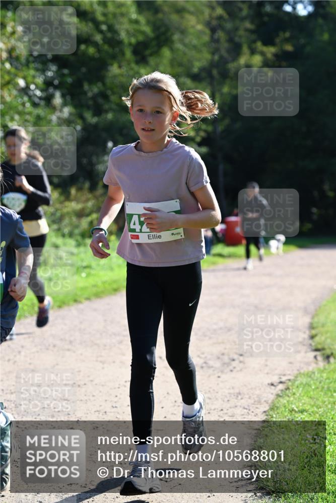 27.09.2026 - 35. Volkslauf durch das schöne Alstertal Dr. Thomas Lammeyer http://msf.ph/oto/10568801 27.09.2026 10:54:41 Laufen 42 meine-sportfotos.de