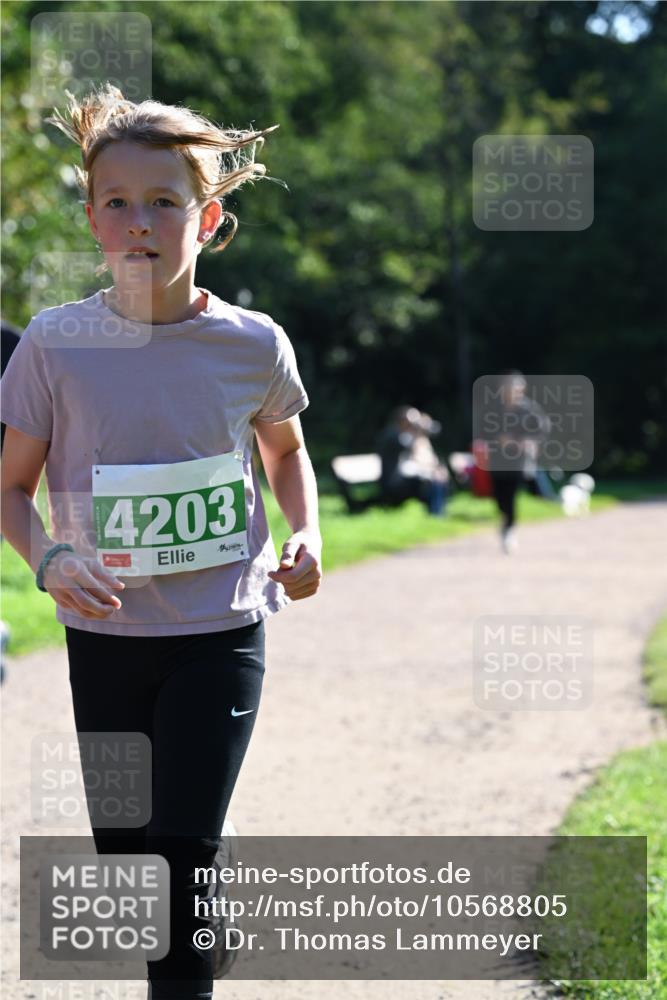 27.09.2026 - 35. Volkslauf durch das schöne Alstertal Dr. Thomas Lammeyer http://msf.ph/oto/10568805 27.09.2026 10:54:42 Laufen 4203 meine-sportfotos.de