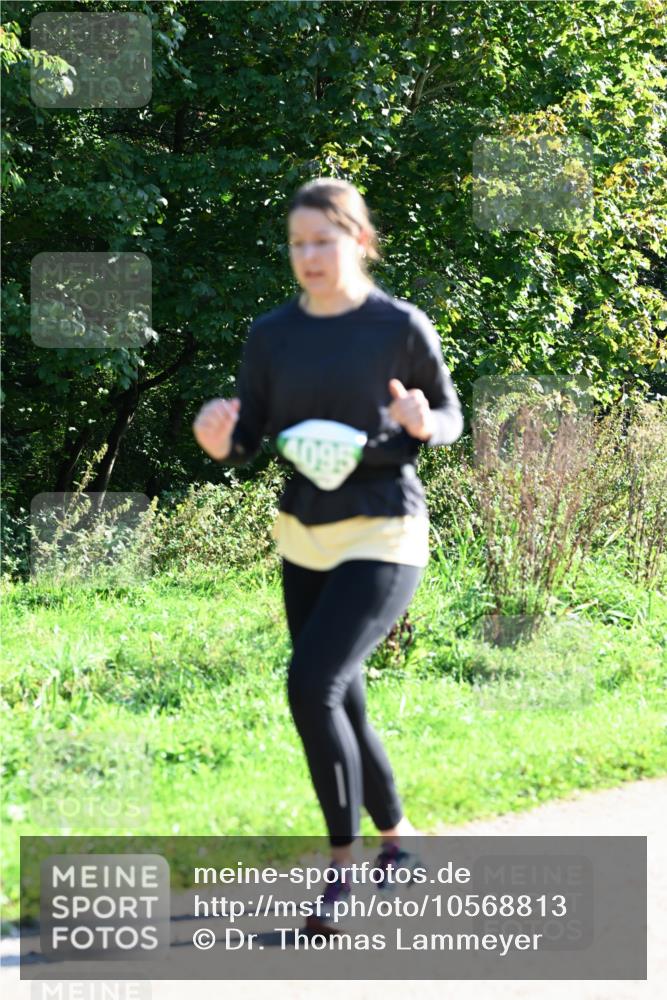 27.09.2026 - 35. Volkslauf durch das schöne Alstertal Dr. Thomas Lammeyer http://msf.ph/oto/10568813 27.09.2026 10:54:43 Laufen 409 meine-sportfotos.de
