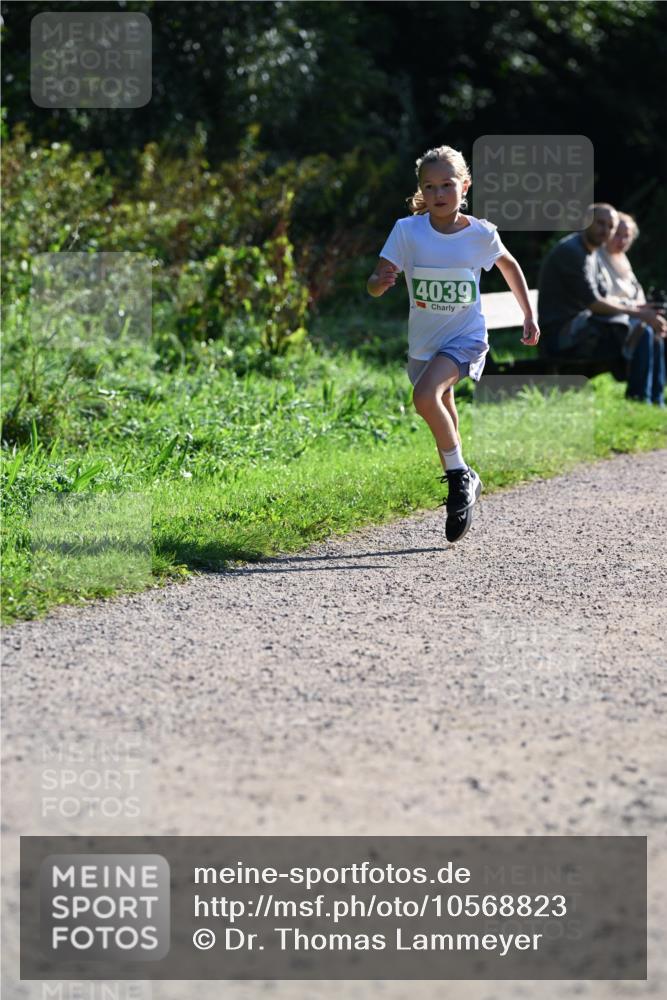 27.09.2026 - 35. Volkslauf durch das schöne Alstertal Dr. Thomas Lammeyer http://msf.ph/oto/10568823 27.09.2026 10:54:52 Laufen 4039 meine-sportfotos.de