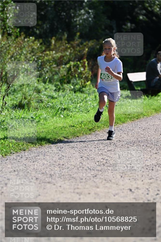 27.09.2026 - 35. Volkslauf durch das schöne Alstertal Dr. Thomas Lammeyer http://msf.ph/oto/10568825 27.09.2026 10:54:52 Laufen 403 meine-sportfotos.de