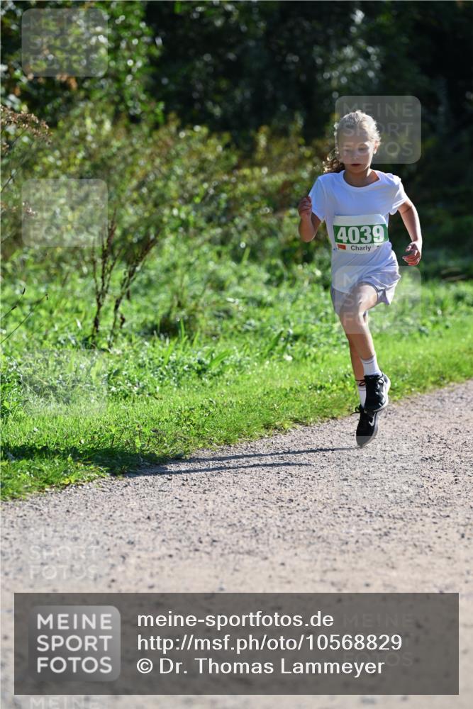 27.09.2026 - 35. Volkslauf durch das schöne Alstertal Dr. Thomas Lammeyer http://msf.ph/oto/10568829 27.09.2026 10:54:53 Laufen 4039 meine-sportfotos.de