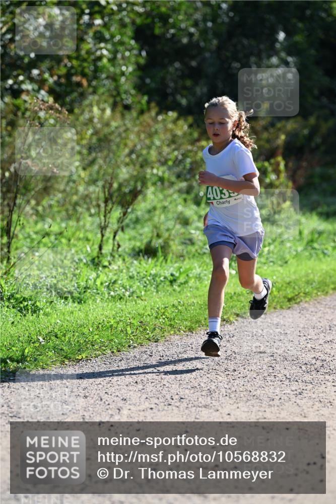 27.09.2026 - 35. Volkslauf durch das schöne Alstertal Dr. Thomas Lammeyer http://msf.ph/oto/10568832 27.09.2026 10:54:53 Laufen 403 meine-sportfotos.de