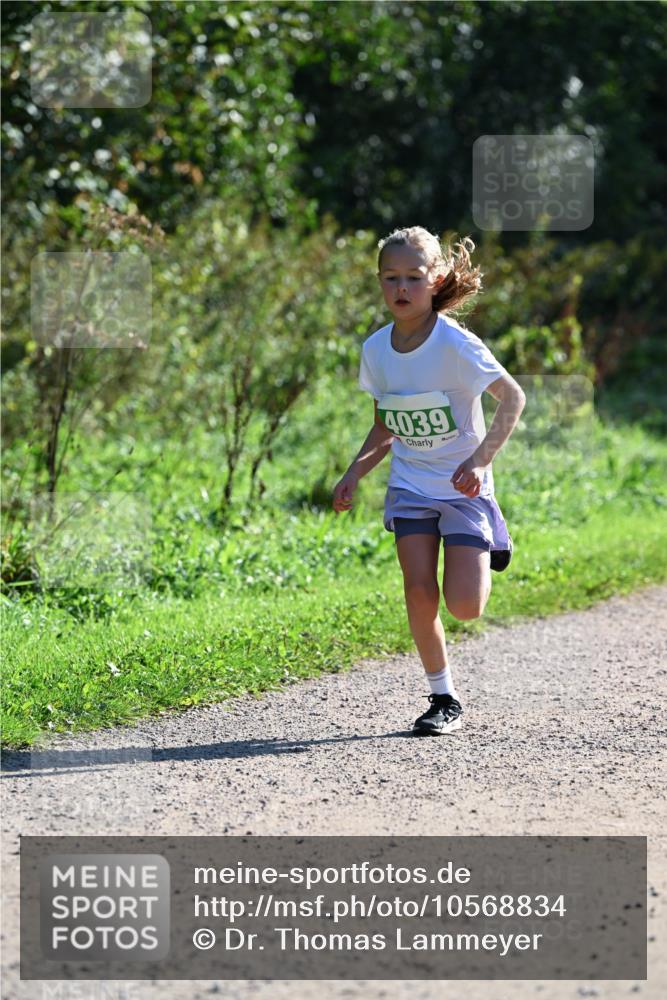 27.09.2026 - 35. Volkslauf durch das schöne Alstertal Dr. Thomas Lammeyer http://msf.ph/oto/10568834 27.09.2026 10:54:53 Laufen 4039 meine-sportfotos.de