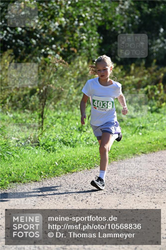 27.09.2026 - 35. Volkslauf durch das schöne Alstertal Dr. Thomas Lammeyer http://msf.ph/oto/10568836 27.09.2026 10:54:53 Laufen 4039 meine-sportfotos.de