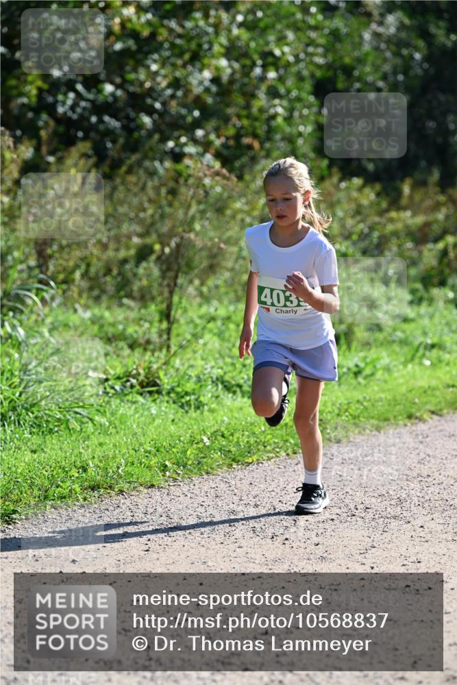 27.09.2026 - 35. Volkslauf durch das schöne Alstertal Dr. Thomas Lammeyer http://msf.ph/oto/10568837 27.09.2026 10:54:54 Laufen 403 meine-sportfotos.de